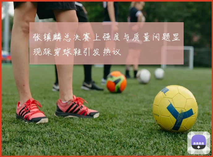 张镇麟总决赛上强度与质量问题显现踩穿球鞋引发热议