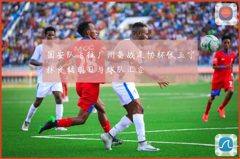 国安队飞往广州备战足协杯张玉宁林良铭明日与球队汇合