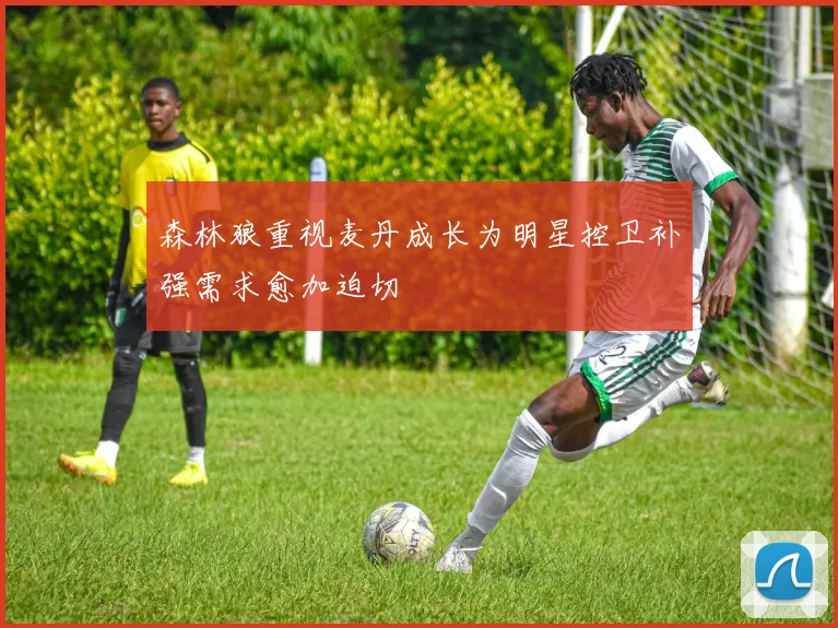 森林狼重视麦丹成长为明星控卫补强需求愈加迫切